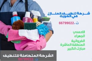 أدوات شركة تنظيف منازل خدمة تنظيف منازل