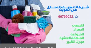 عادات بسيطة للحفاظ على منزلك نظيفًا وصحيًا